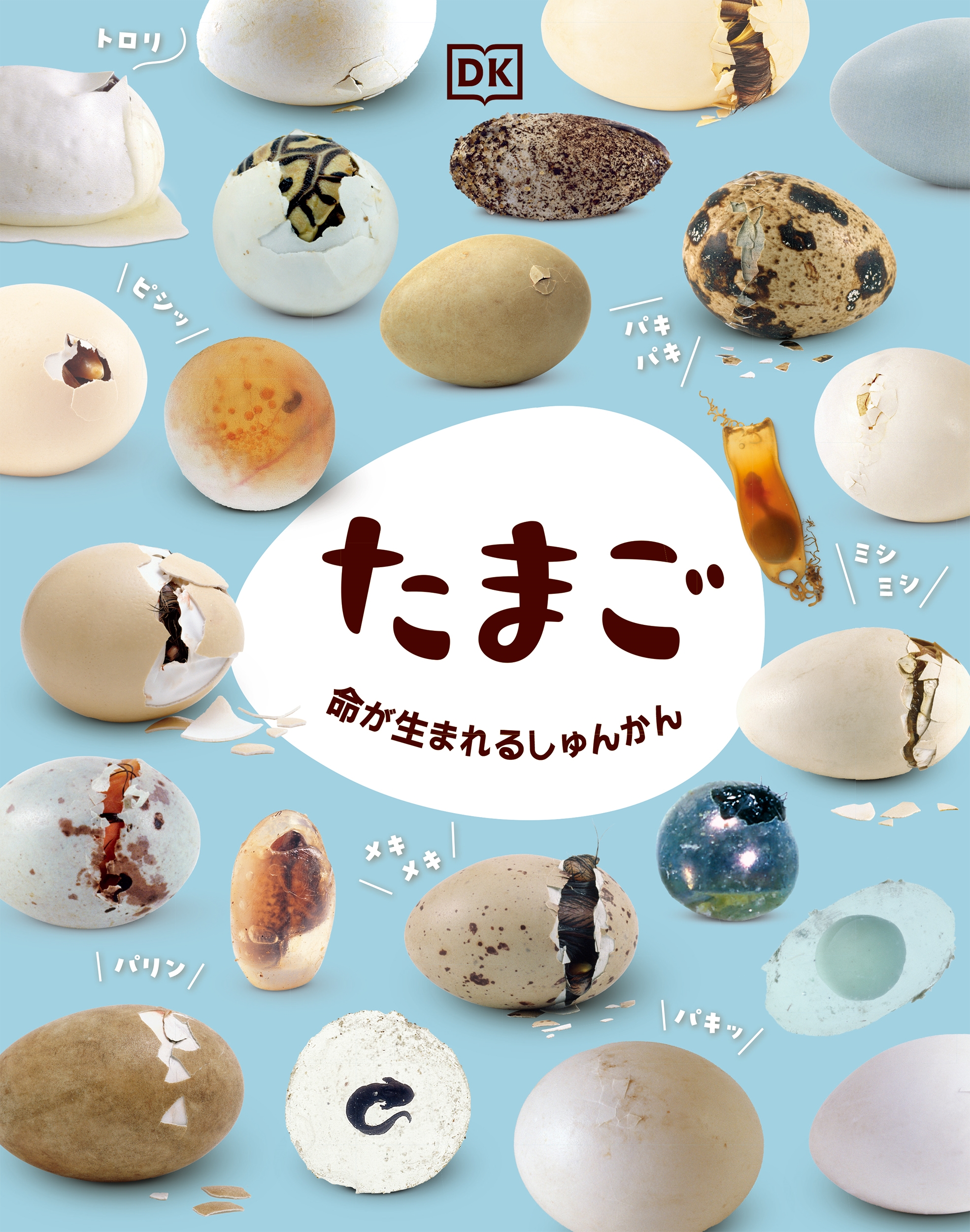 たまご 命が生まれるしゅんかん たまご 命が生まれるしゅんかん