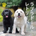 2025年カレンダー ラブラドール・レトリーバー