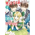 悪役令嬢になりたくないので、王子様と一緒に完璧令嬢を目指します!3
