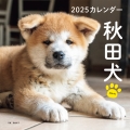 2025年カレンダー 秋田犬