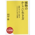 OD>大活字版植物のかしこい生き方 欲張らず、むだに戦わずしたたかに生きる知恵 SB新書