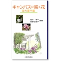 キャンパスに咲く花 阪大豊中編