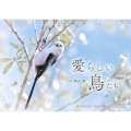 愛らしい鳥たちカレンダー2025