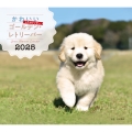 2025年カレンダー かわいいゴールデン・レトリーバー
