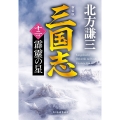 (新装版)三国志 十二の巻 霹靂の星