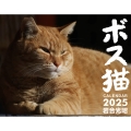 ボス猫カレンダー2025