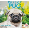 2025 気まぐれ パグカレンダー
