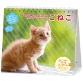 2025 ミニカレンダーこねこ