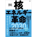 核エネルギー革命2030 核融合と4種の新型原子炉がひらく脱炭素新ビジネス