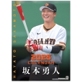 G選手カレンダー2025 坂本勇人