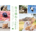 毎日猫ねこ 日めくりカレンダー 2025