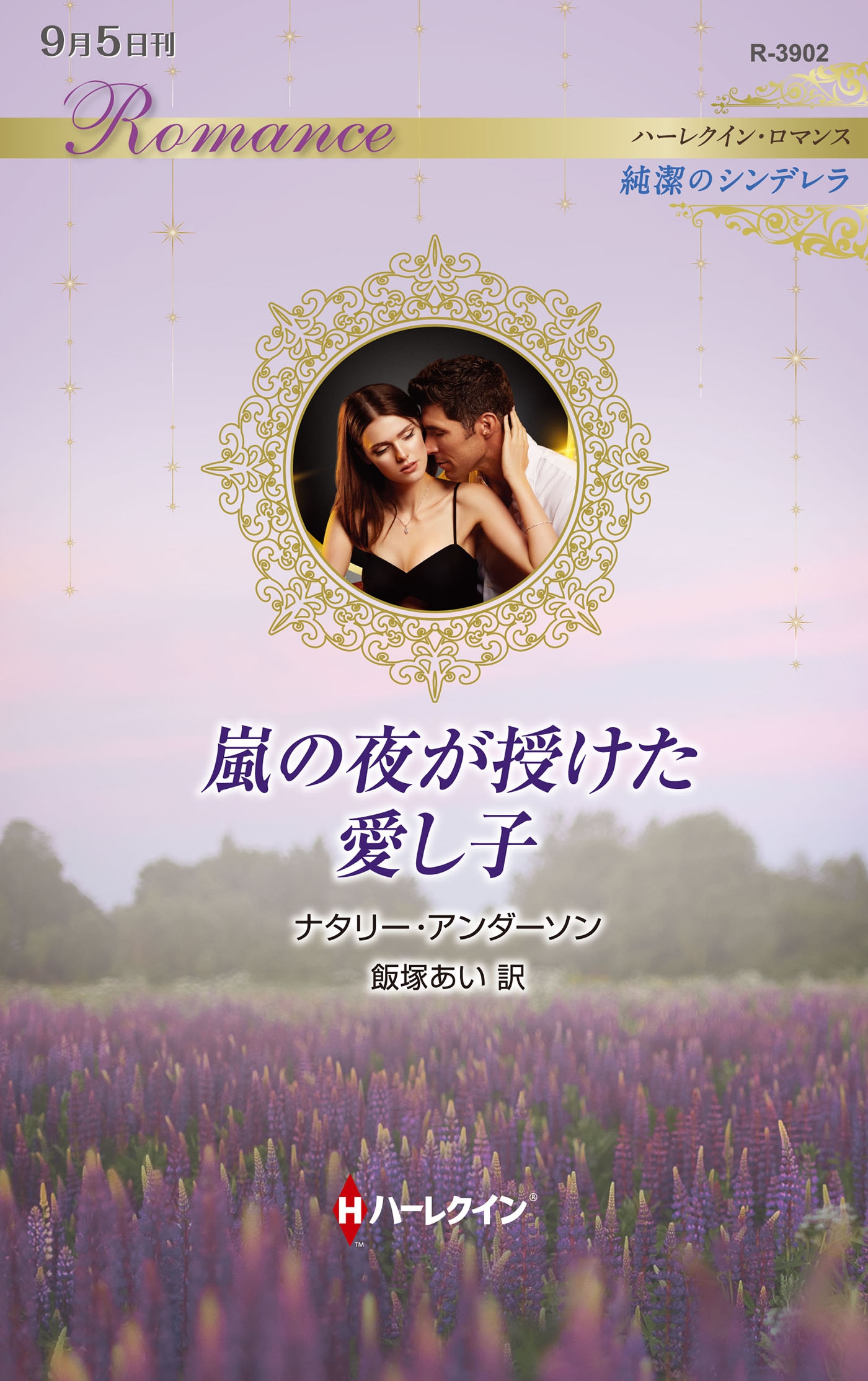 嵐の夜が授けた愛し子 嵐の夜が授けた愛し子