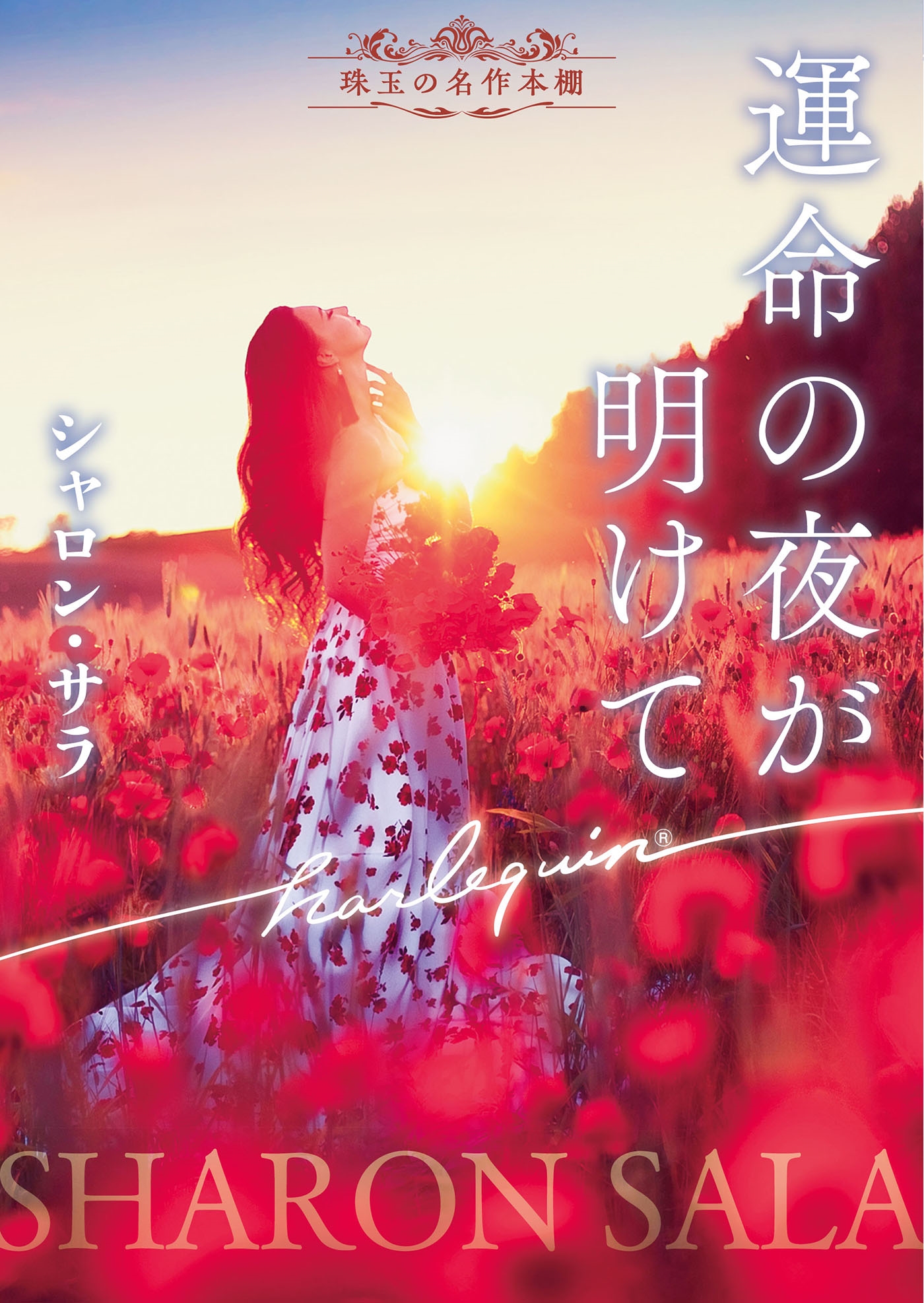 運命の夜が明けて 運命の夜が明けて