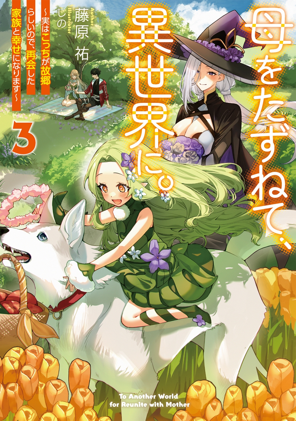 母をたずねて、異世界に。3 ～実はこっちが故郷らしいので、再会した家族と幸せになります～ (3)
