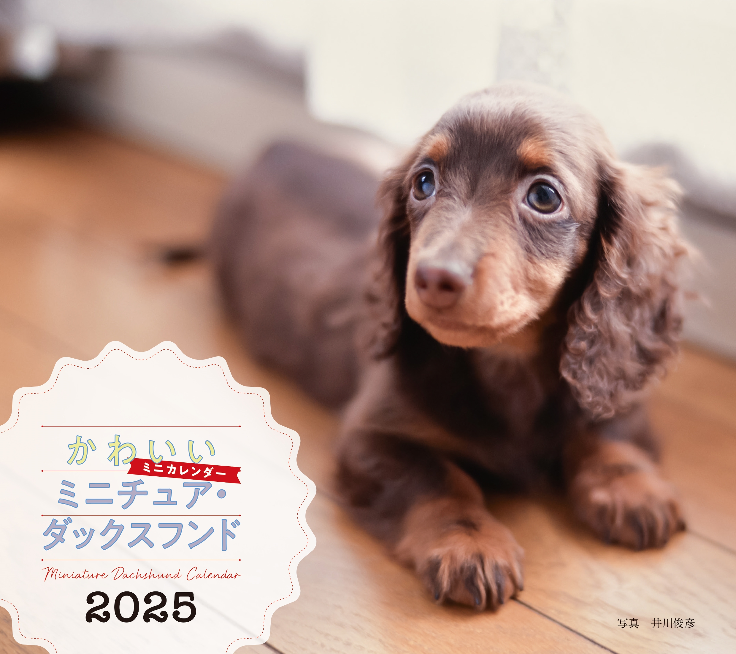 ɧ/2025ǯ 襤ߥ˥奢åե[9784416924754]