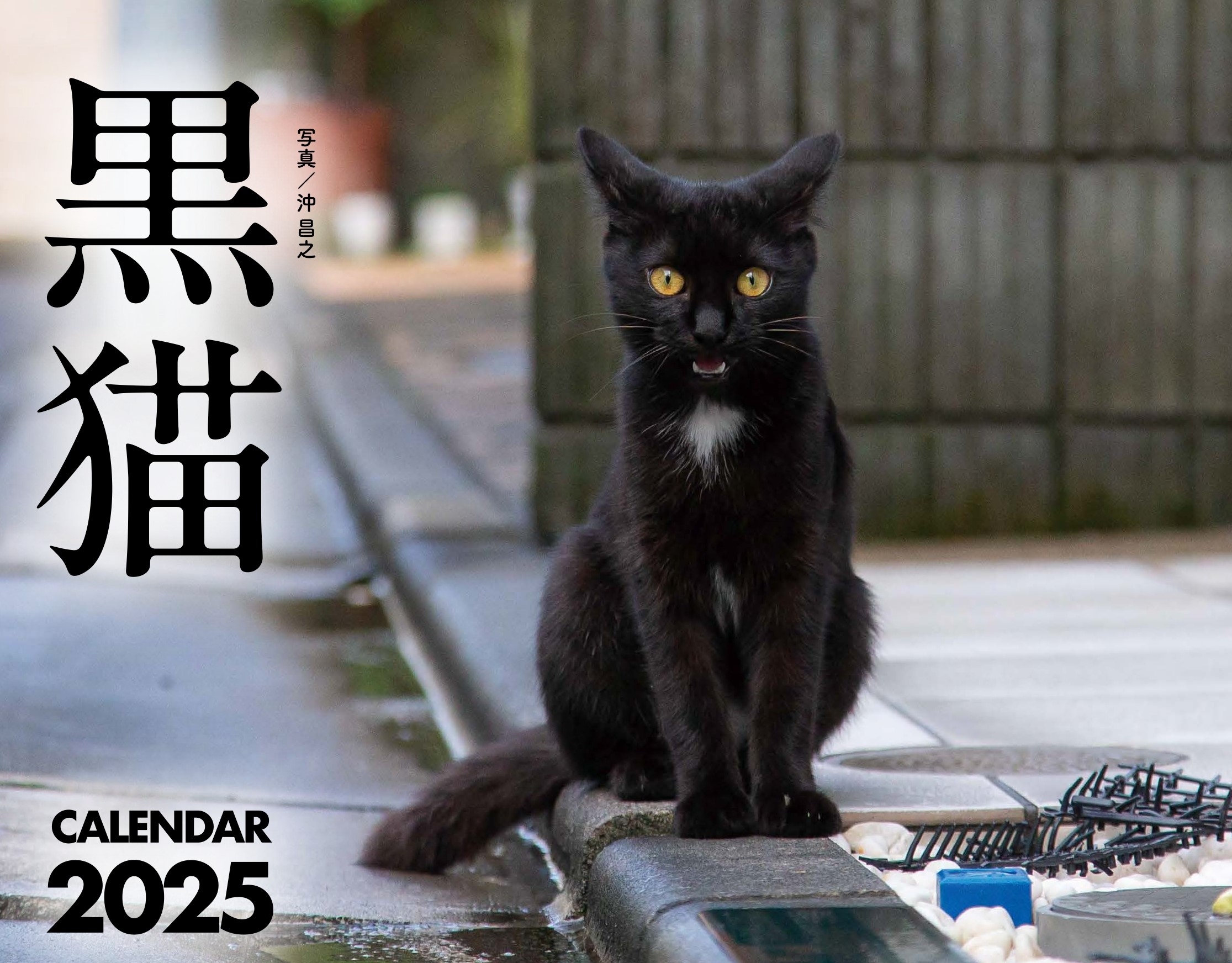 黒猫カレンダー2025 黒猫カレンダー2025
