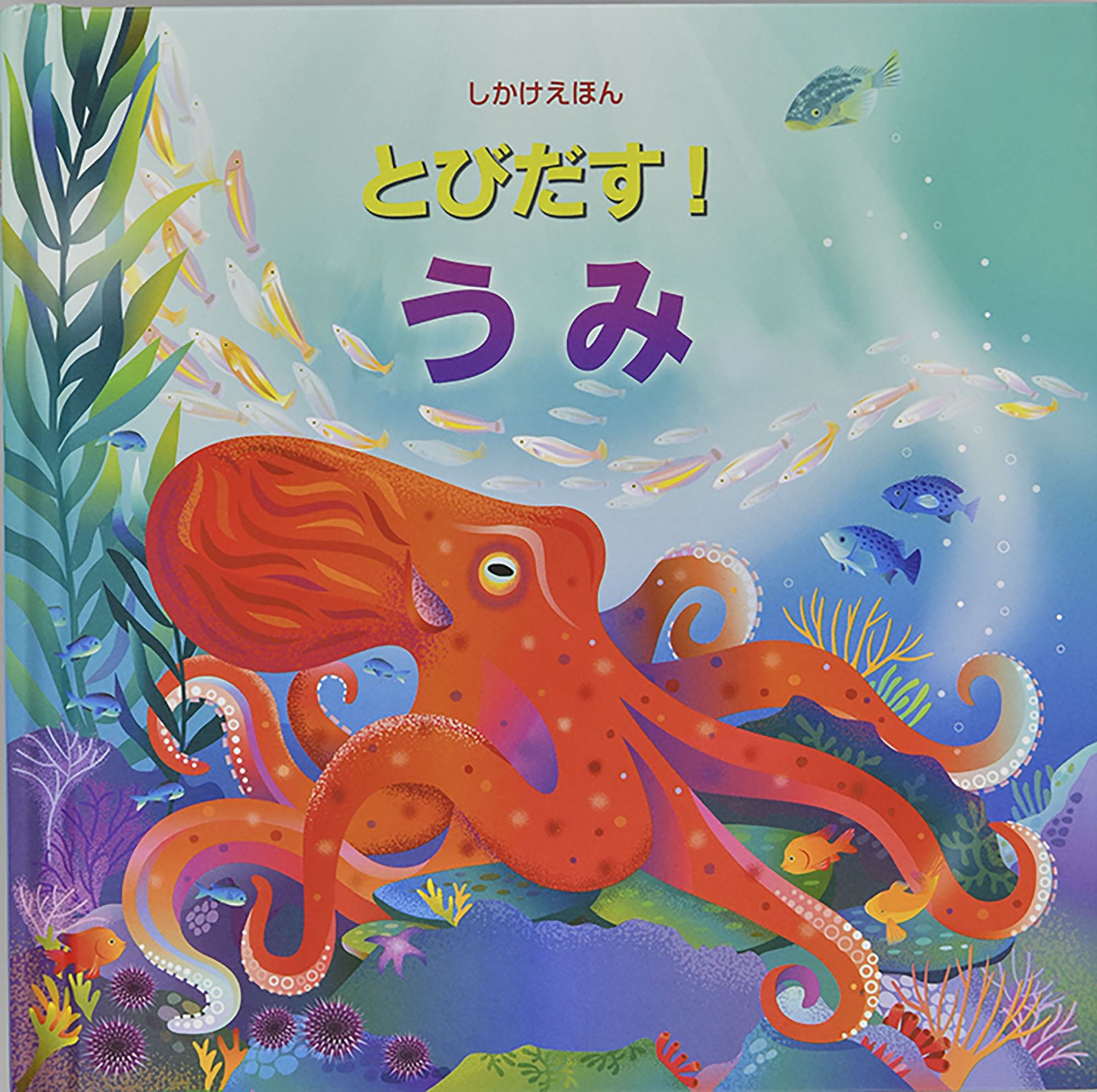 とびだす!うみ とびだす!うみ