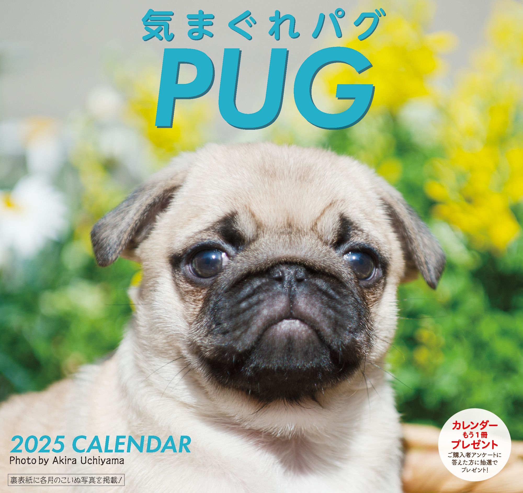2025 気まぐれ パグカレンダー 2025 気まぐれ パグカレンダー