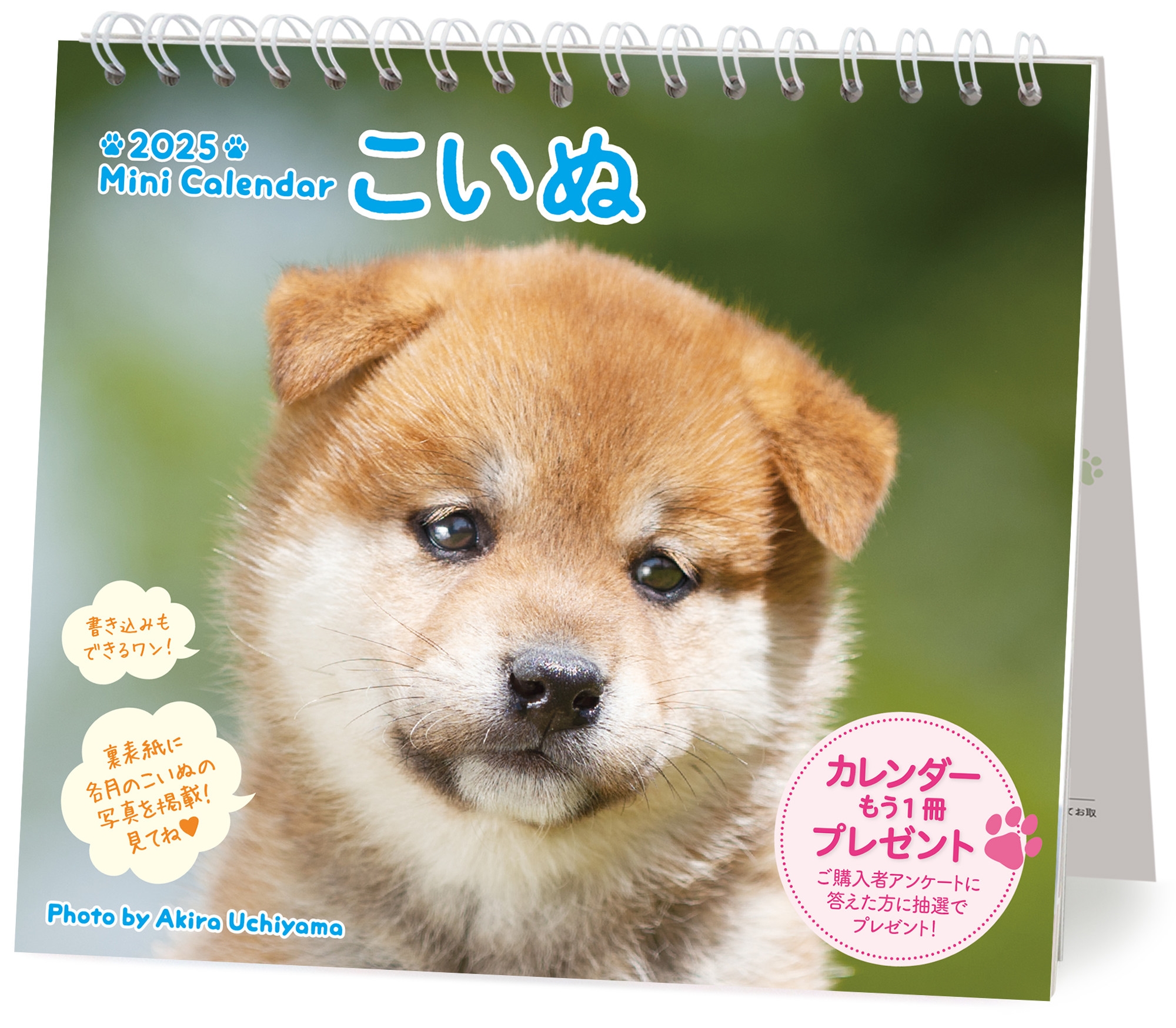 2025 ミニカレンダーこいぬ 2025 ミニカレンダーこいぬ