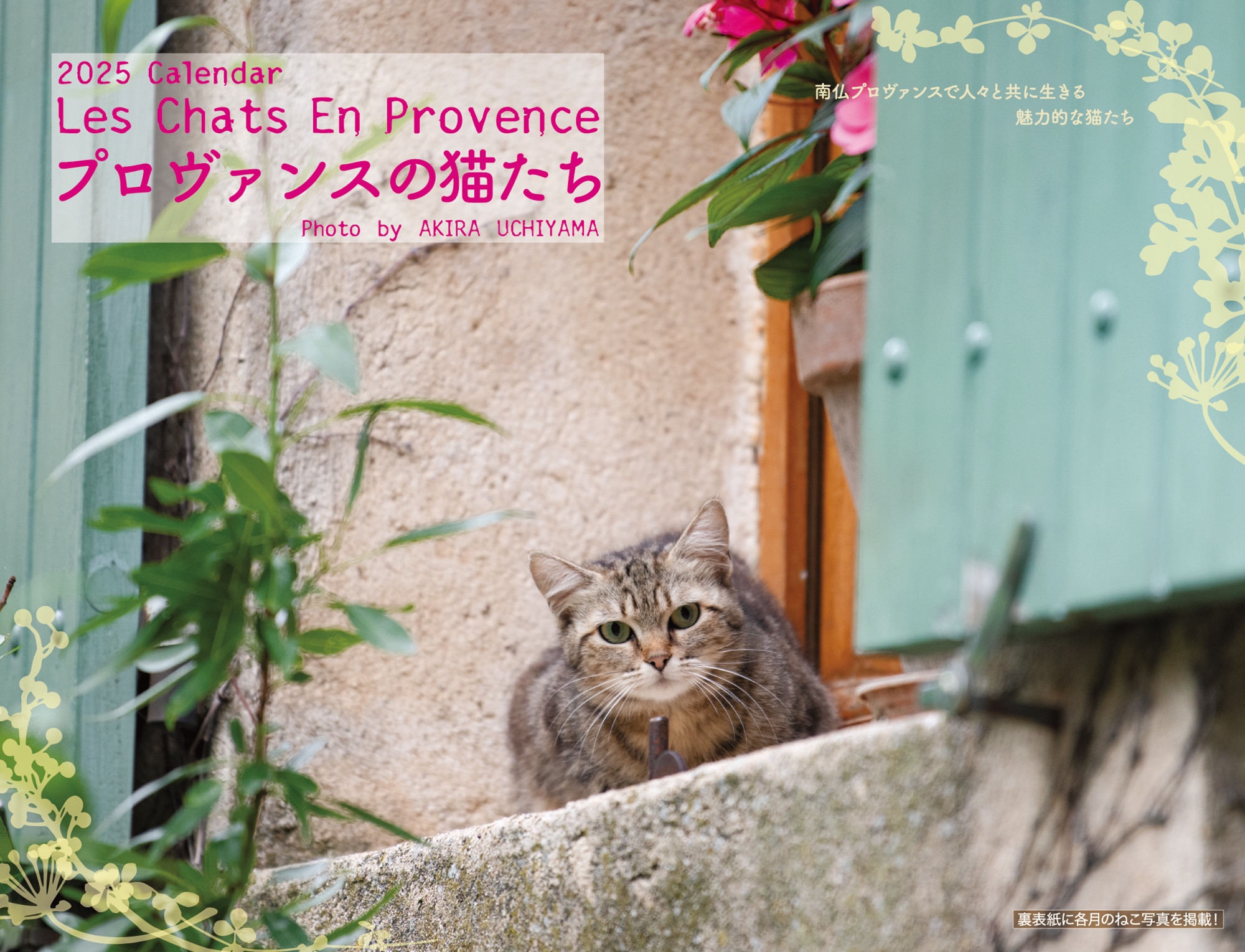 2025 プロヴァンスの猫たちカレンダー 2025 プロヴァンスの猫たちカレンダー