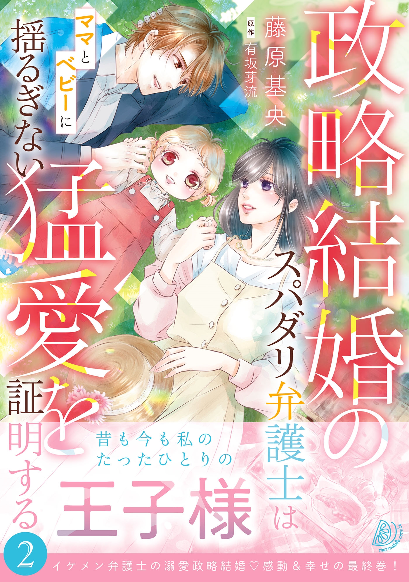 政略結婚のスパダリ弁護士はママとベビーに揺るぎない猛愛を証明する 2 政略結婚のスパダリ弁護士はママとベビーに揺るぎない猛愛を証明する 2
