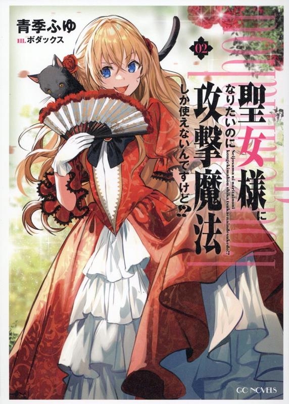 聖女様になりたいのに攻撃魔法しか使えないんですけど!? 2 聖女様になりたいのに攻撃魔法しか使えないんですけど!? 2