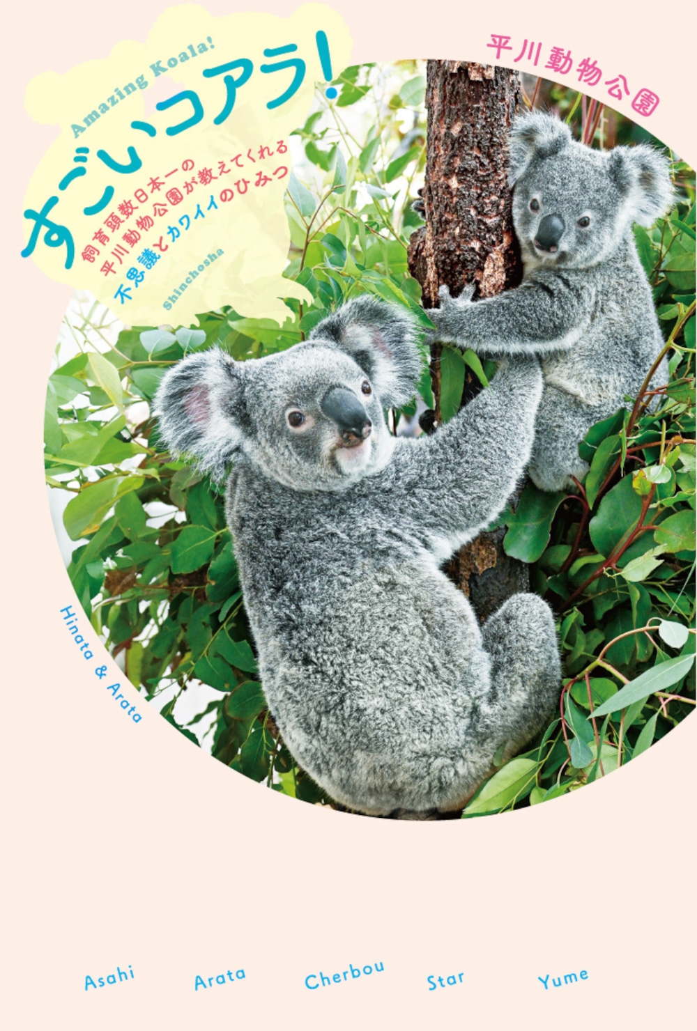 ʿưʪ/! ƬܰʿưʪबƤԻ׵Ĥȥ磻ΤҤߤ[9784103558613]