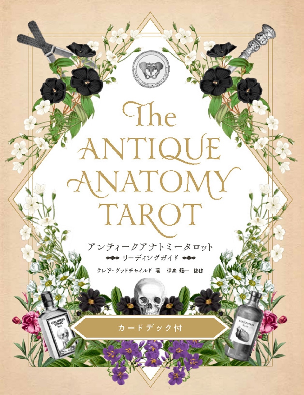 アンティークアナトミータロット リーディングガイド アンティークアナトミータロット リーディングガイド