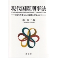 現代国際刑事法 国内刑事法との協働を中心として