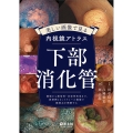 美しい画像で見る内視鏡アトラス 下部消化管