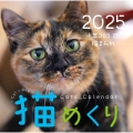Cats Calendar 猫めくり2025 1年365日、猫まみれ