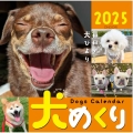 Dogs Calendar 犬めくり2025 毎日が、犬びより