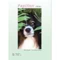 Papillon パピヨン
