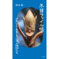 冬芽ファイル帳 かわいくておもしろい冬の植物たち