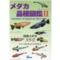メダカ品種図鑑 II 改良メダカ352
