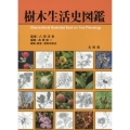 樹木生活史図鑑