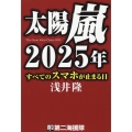 太陽嵐2025年