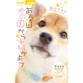 ある日 犬の国から手紙が来て～思い出のつばさ～ スマイルセレクション