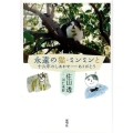 永遠の猫・ミンミンと 十六年のしあわせ―ありがとう