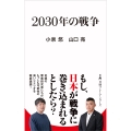 2030年の戦争