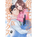 帝王上司の溺愛セックス IX 俺なしじゃいられない体にしてやるよ
