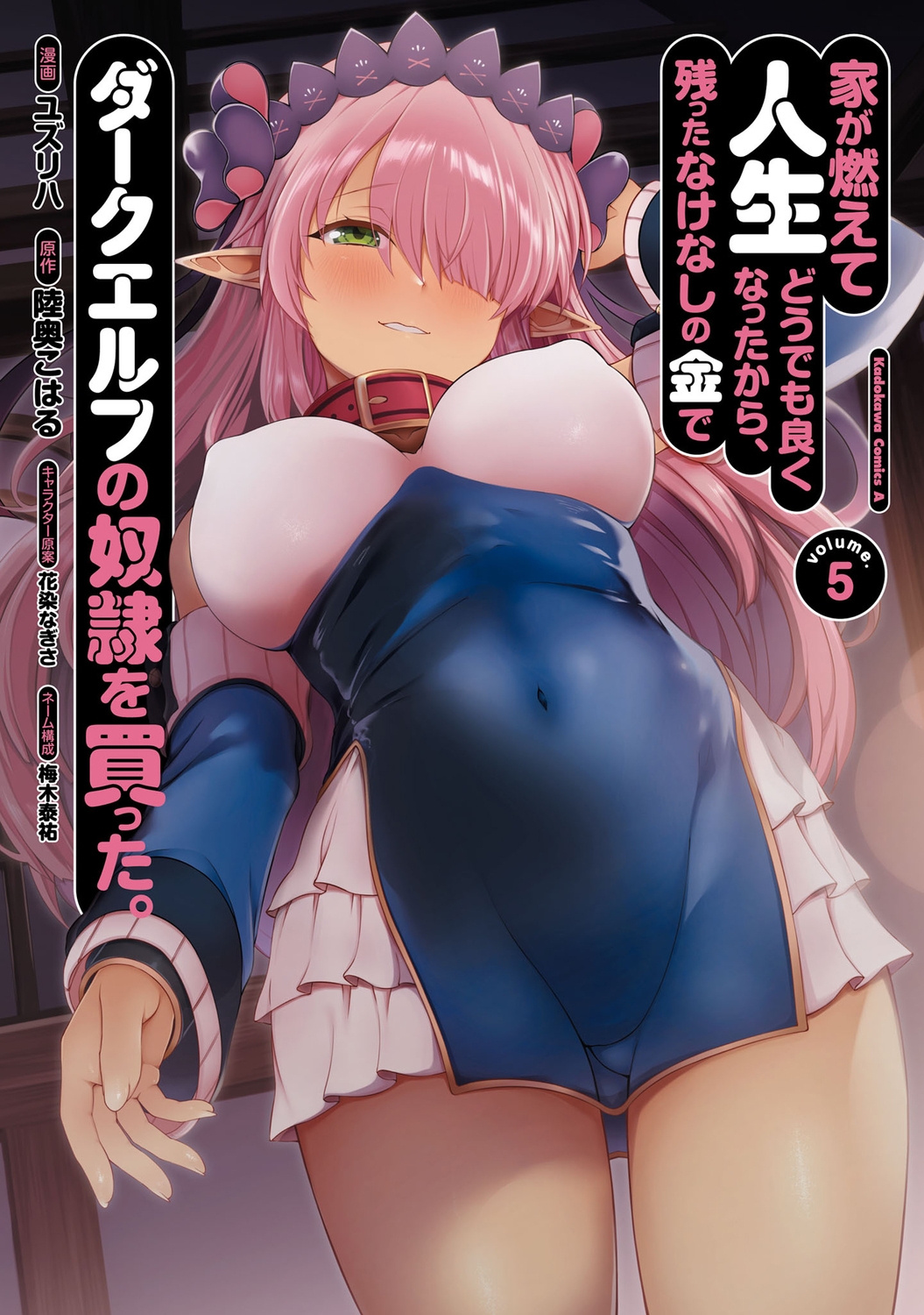 家が燃えて人生どうでも良くなったから、残ったなけなしの金でダークエルフの奴隷を買った。 (5) (5)