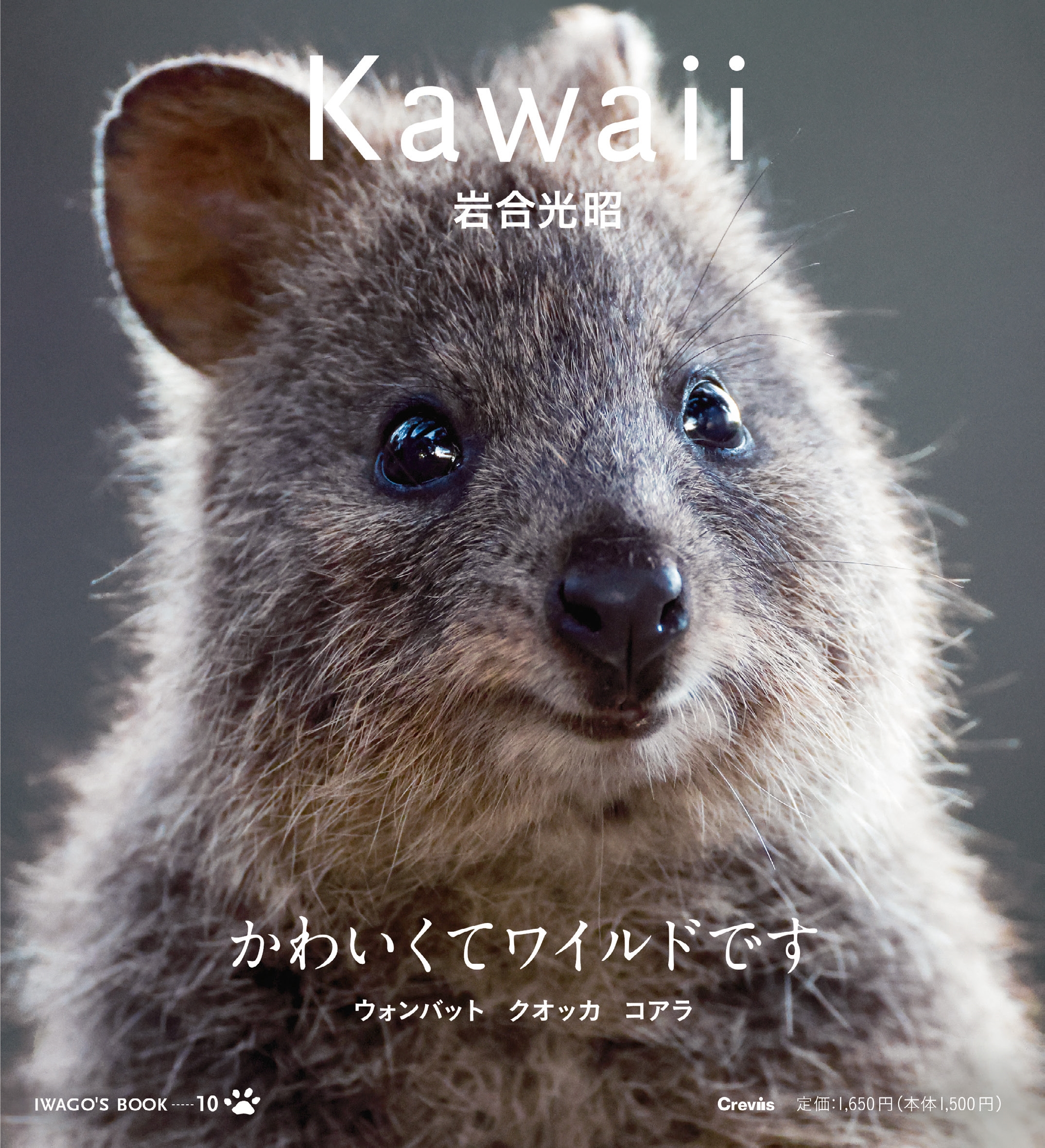 dショッピング |岩合光昭 「Kawaii ウォンバット クオッカ