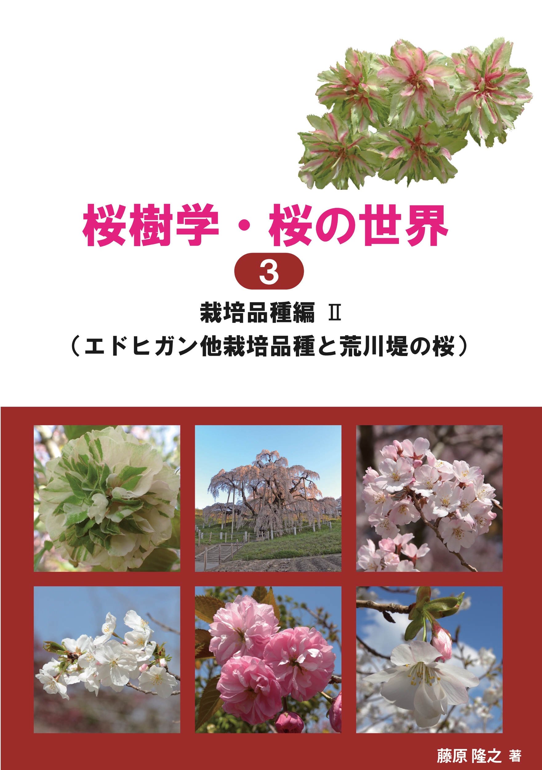桜樹学・桜の世界 3 栽培品種編II(エドヒガン他栽培品種と荒川堤の桜) (3巻)