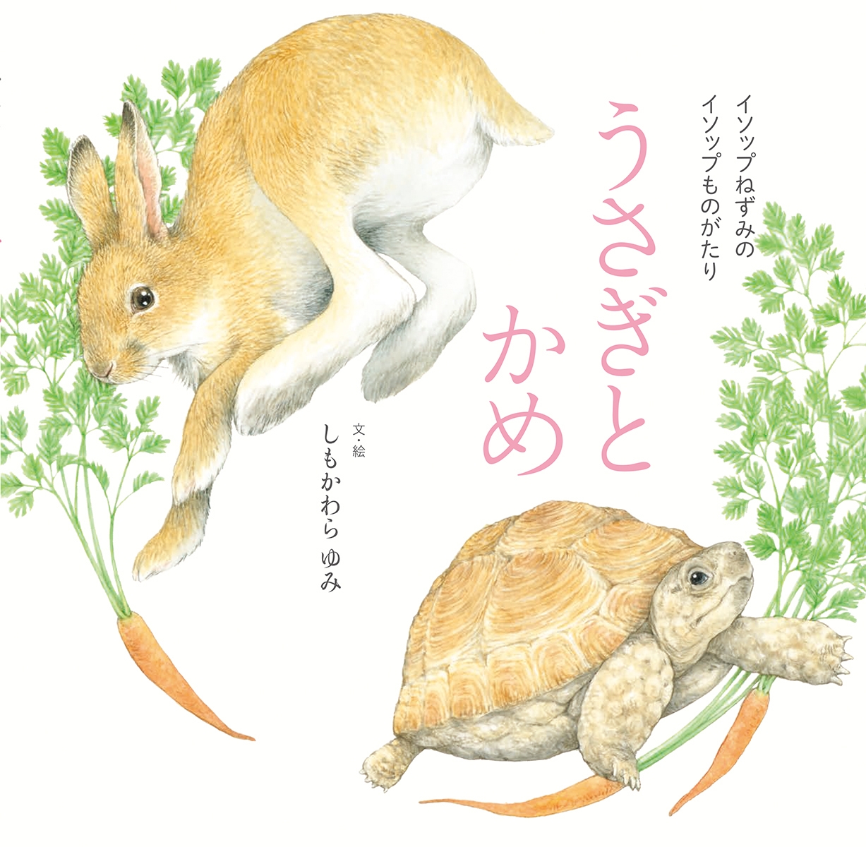 うさぎとかめ うさぎとかめ