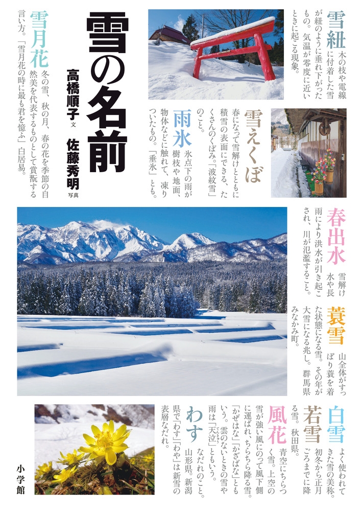 雪の名前 まほろば歳時記 雪の名前 まほろば歳時記