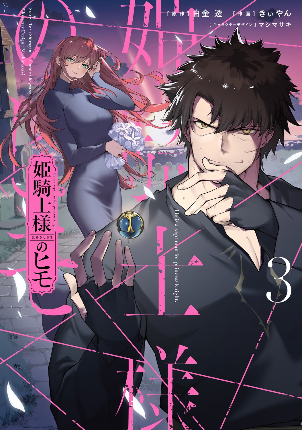 姫騎士様のヒモ(3) (3) 姫騎士様のヒモ(3) (3)