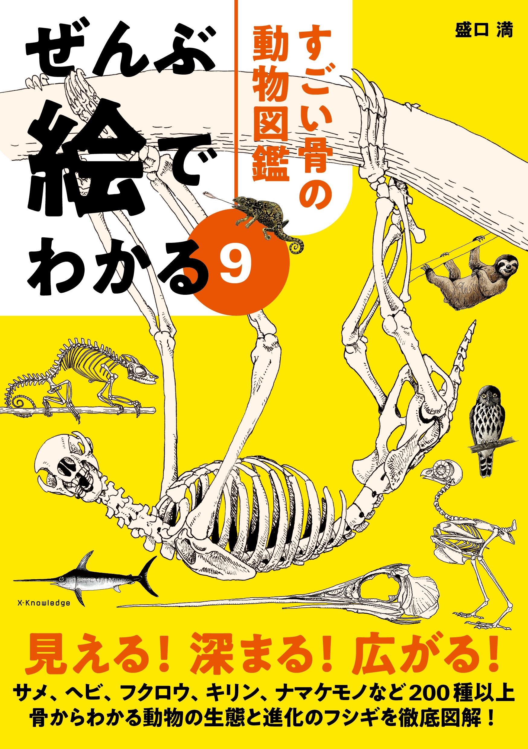 詳細不明です。動物の骨だと思います。商品説明必読お願い致します。 詳細不明です。動物の骨だと思います。商品説明必読お願い致します。