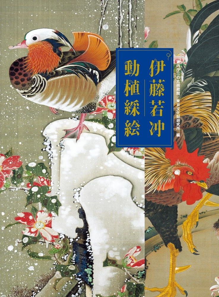 ư彳β