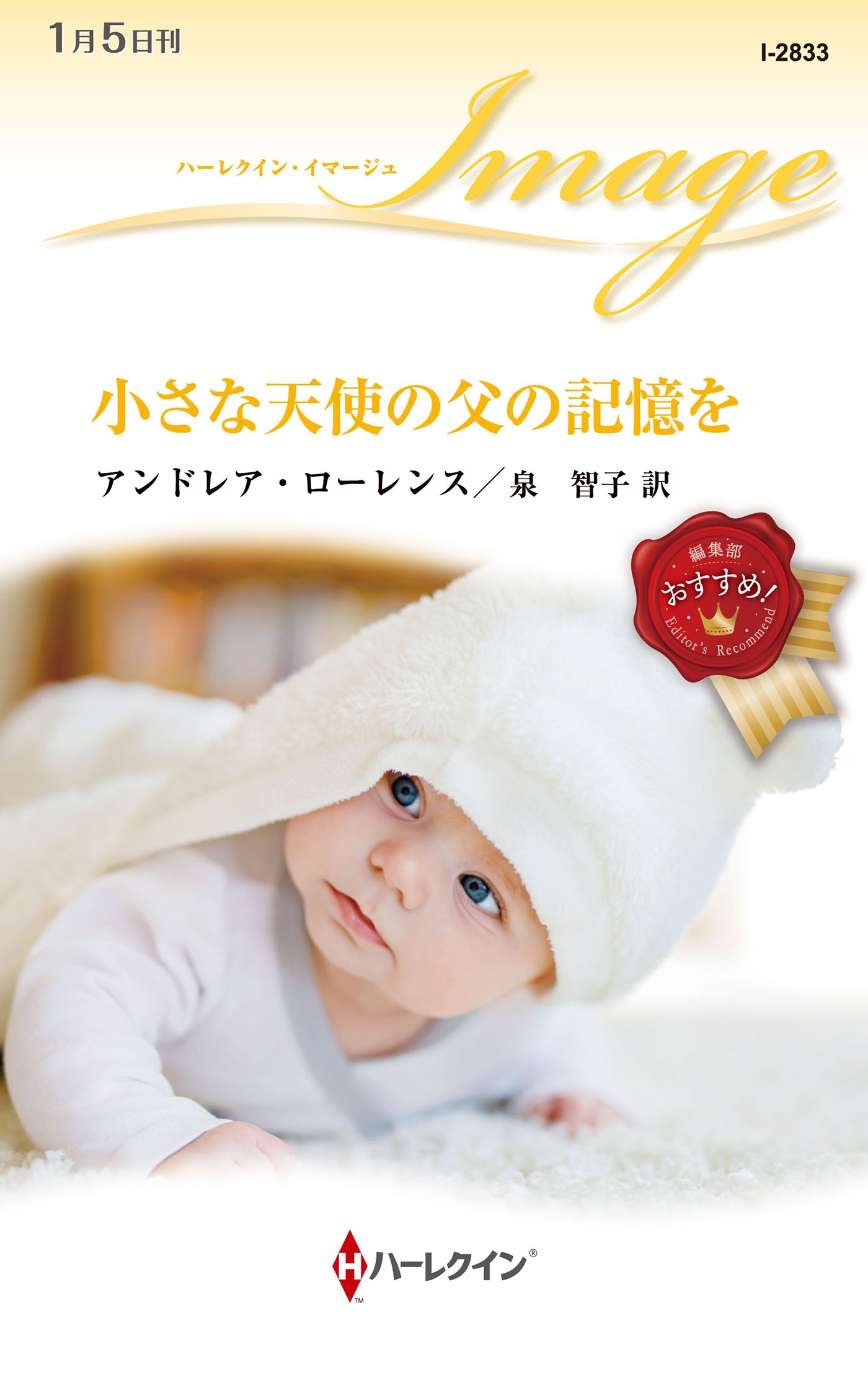 小さな天使の父の記憶を 小さな天使の父の記憶を